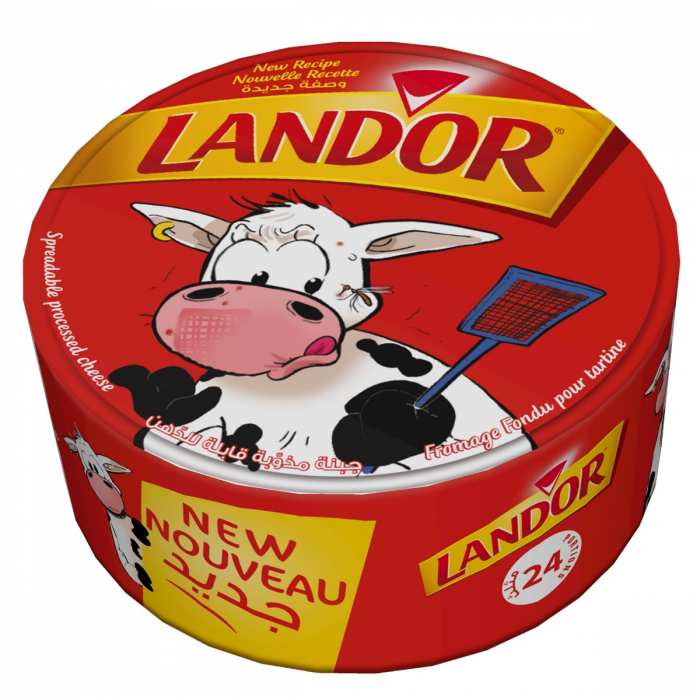 TRIANGLE FONDU LANDOR 24P